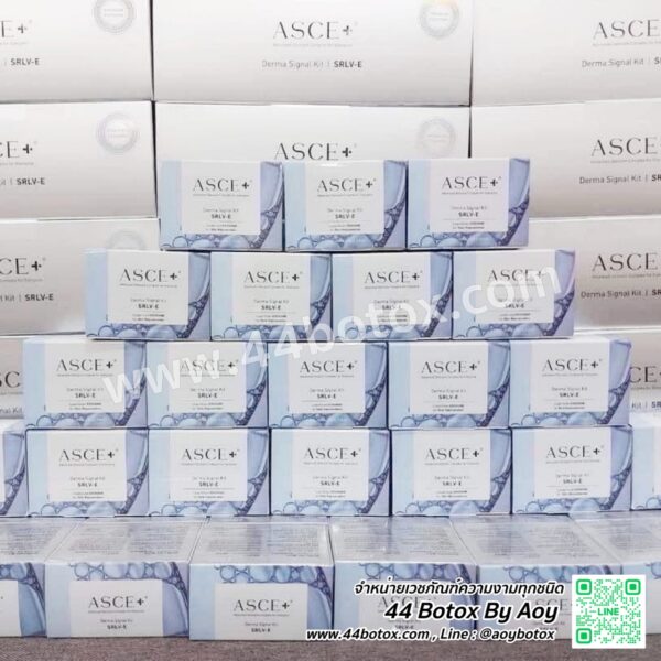 เมโส Exosome ASCE Plus จากเกาหลี ครั้งแรกรู้เรื่อง หน้าเด็กขยี้ใจระดับนาโน - Image 7