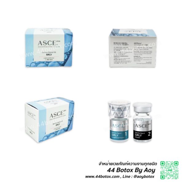 เมโส Exosome ASCE Plus จากเกาหลี ครั้งแรกรู้เรื่อง หน้าเด็กขยี้ใจระดับนาโน - Image 6