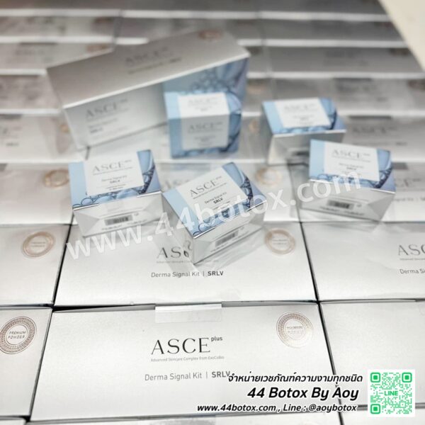 เมโส Exosome ASCE Plus จากเกาหลี ครั้งแรกรู้เรื่อง หน้าเด็กขยี้ใจระดับนาโน - Image 4