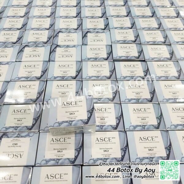 เมโส Exosome ASCE Plus จากเกาหลี ครั้งแรกรู้เรื่อง หน้าเด็กขยี้ใจระดับนาโน - Image 3