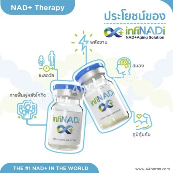 ชะลอวัยจากภายในลึกถึงระดับ DNA กับ InfiNADi NAD จากอเมริกา - Image 3