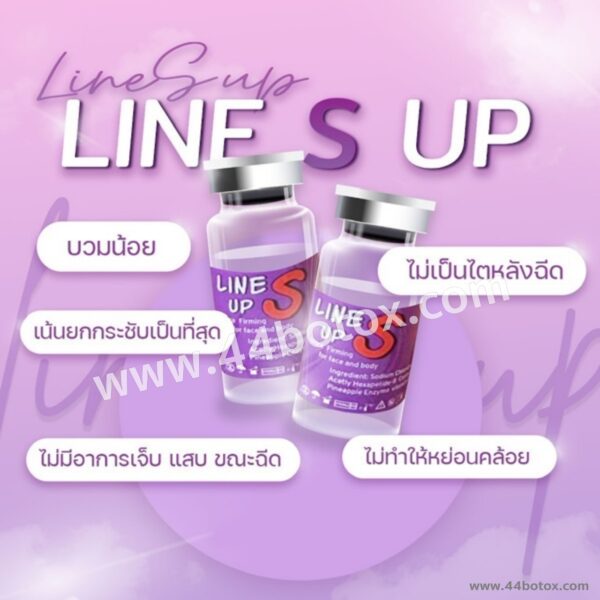 Line S up from Korea ไม่อยากมาดนิ่งและกลิ้งได้ ต้องแฟตสลายไขมันตัวนี้ - Image 6