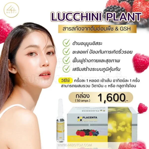 Lucchini plant placenta