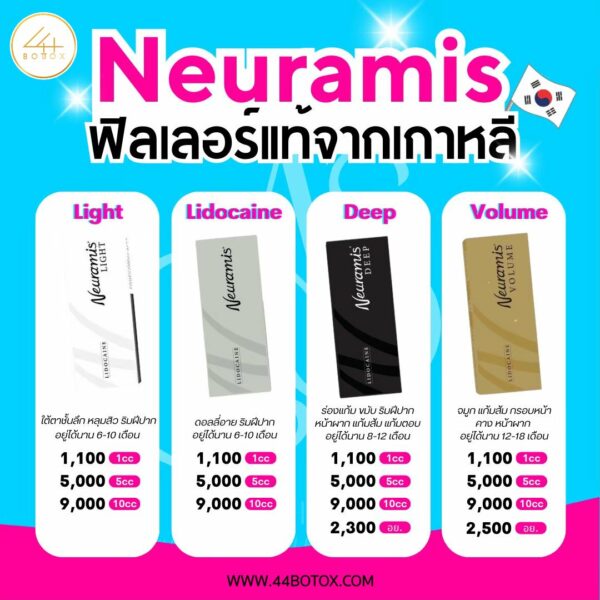 Neuramis กล่องเทา