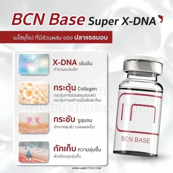 BCN Base Super X-DNA