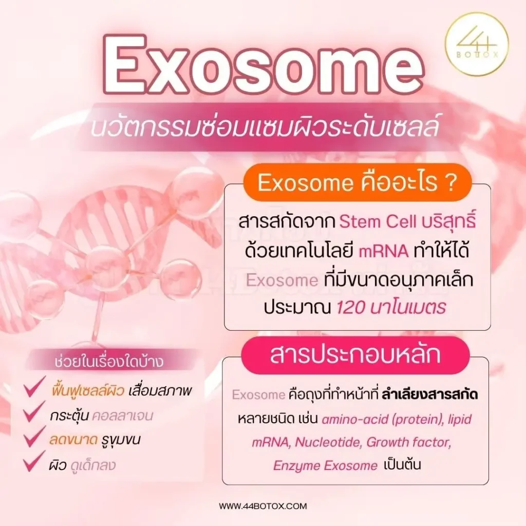 Exosome