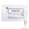 ไหม minerva