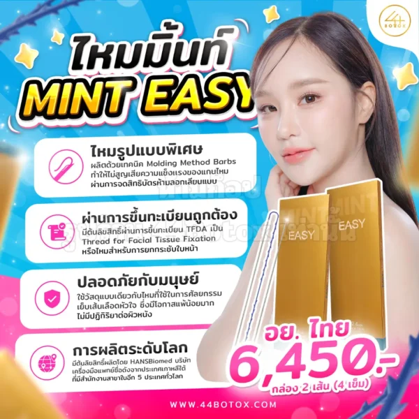 ไหม mint easy