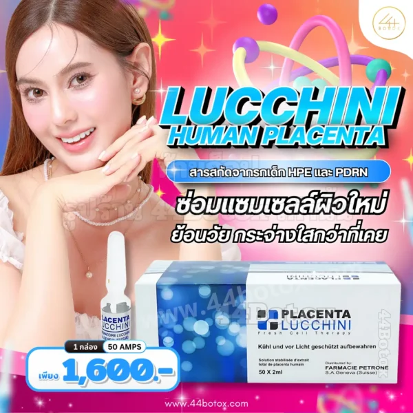 Lucchini Human placenta