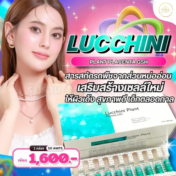 Lucchini Plant Placenta GSH