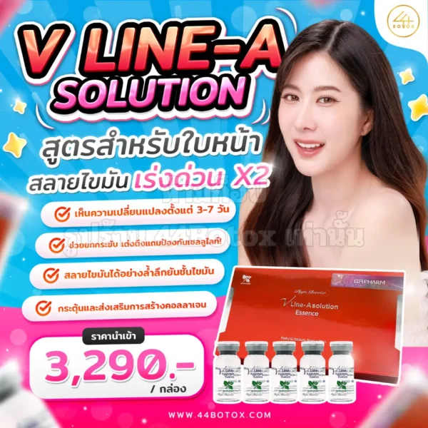 เมโสแฟต V line