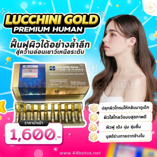 Lucchini gold premium human